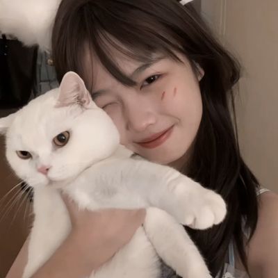 刺激吃鸡战场破解版下载