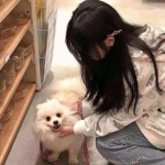 少年神魔录游戏